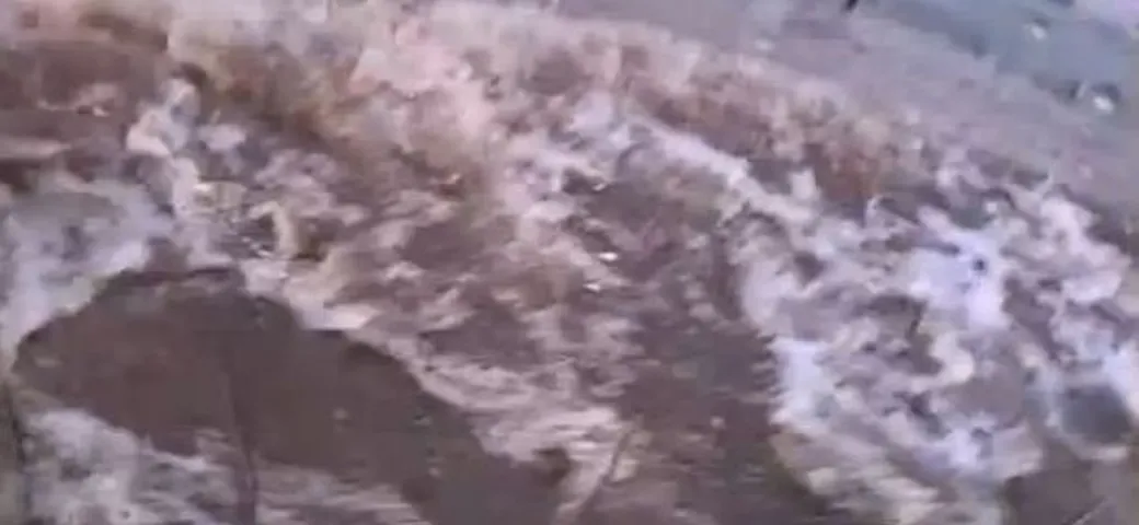 Guidare sotto la pioggia è pericoloso. Un video ci dimostra il perché...