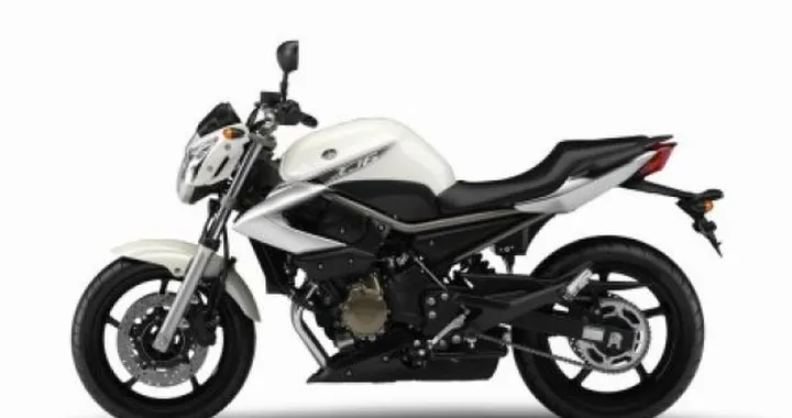 Anteprima Eicma 2008: Yamaha XJ6, naked d'attacco