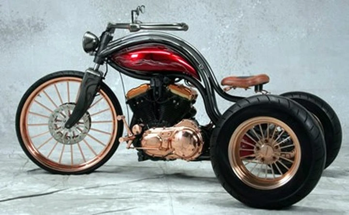 Bobster Trike della Zeel Design