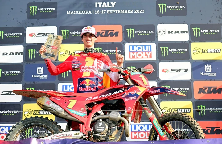 ingrandisci immagine