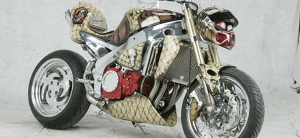 Il predatore
