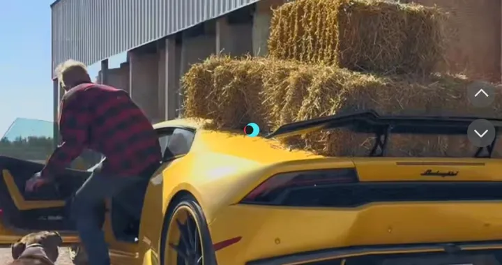 Una Lamborghini che torna alle origini: un trattore col ruggito V10