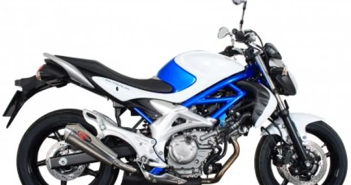 Silenziatore Scorpion Conical Oval per Suzuki Gladius 650