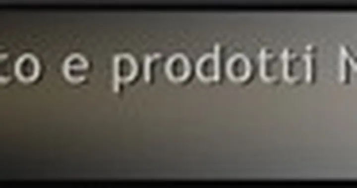 NCR al World Ducati Week 2007