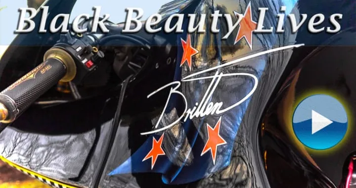 Black Beauty Lives