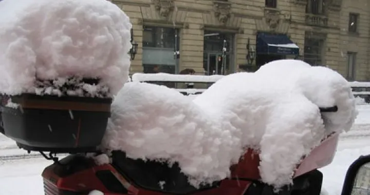 Foto del giorno: destriero coperto dalla neve di Milano