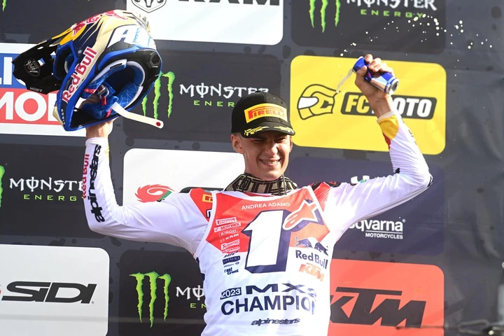 ingrandisci immagine