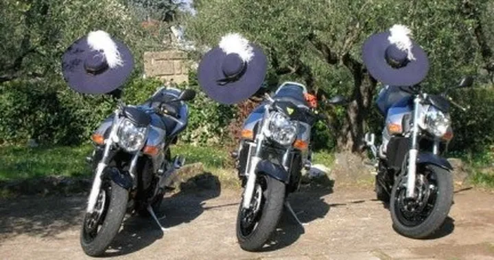 Foto del giorno: i tre moschettieri