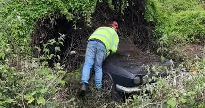Taglia una folta siepe e scopre una rara e vecchia supercar