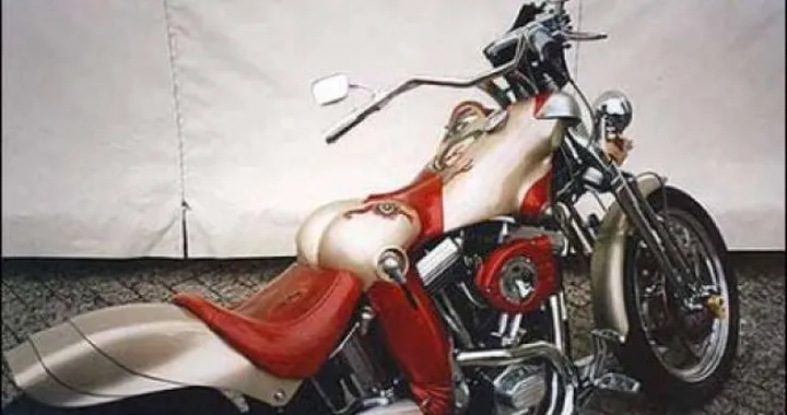 Foto del giorno: custom doggie style