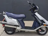 Honda Elite CH150: lo scooter del 1985 riemerge dopo 39 anni