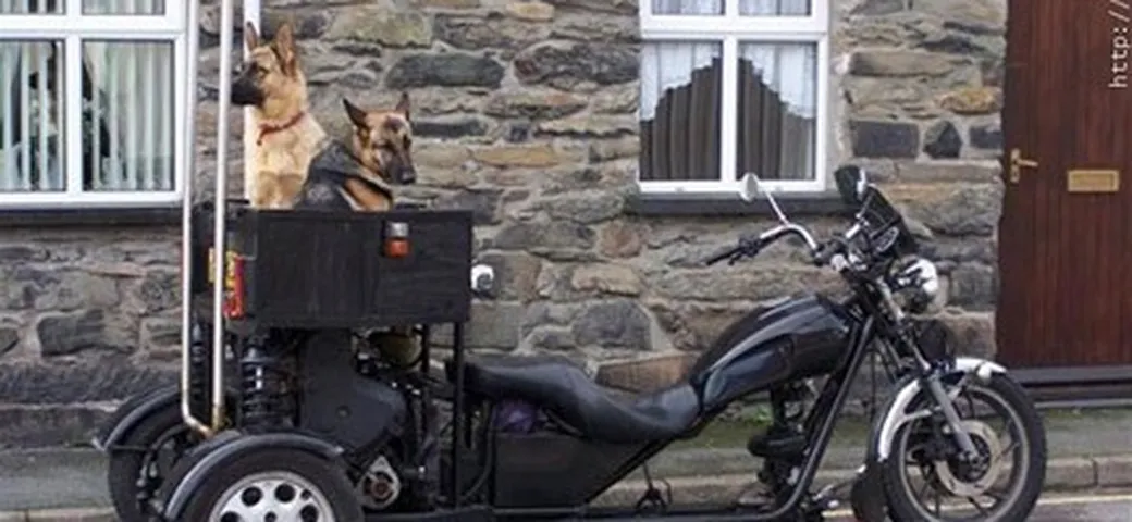 Trike 2+2