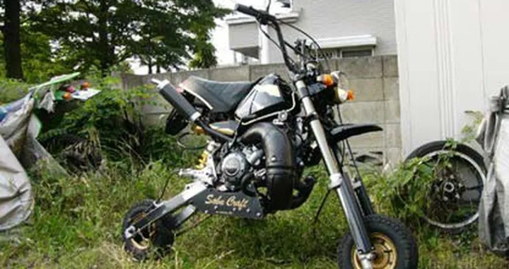 Mini scooter o cos'altro?