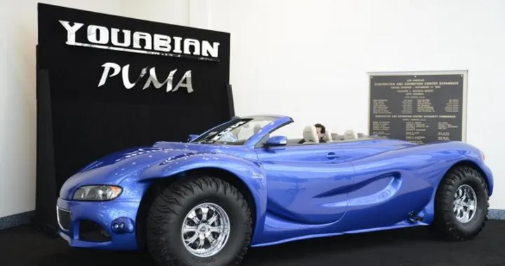 Youabian Puma