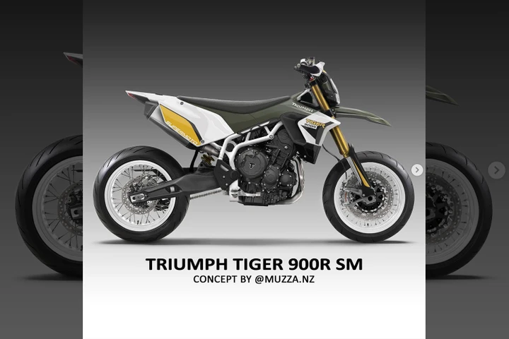 Una Triumph Tiger 900 Rally rivisitata in chiave Supermoto by Muzza