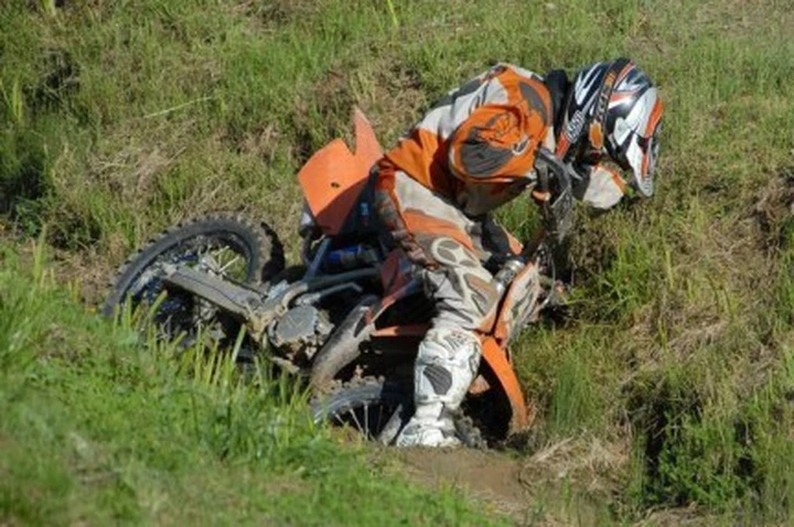 Foto del giorno: A cercar lumache