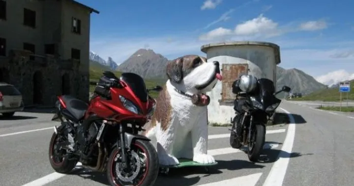 Foto del giorno: giretto da 1640km