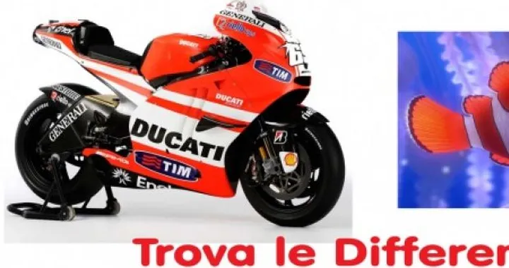 Foto del giorno: Desmosedici GP11 Marlin