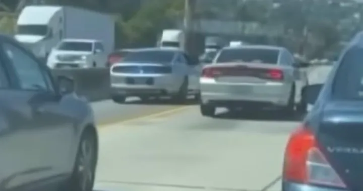 Con la Mustang sfida una Charger, ma è la Polizia... [Video]