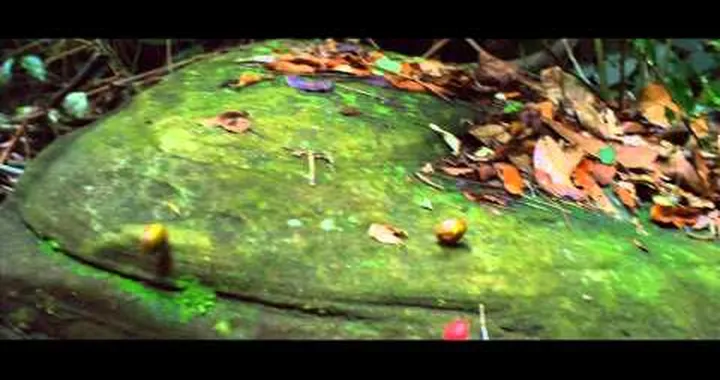 Lamborghini Aventador in Bracciano Hills - director's cut