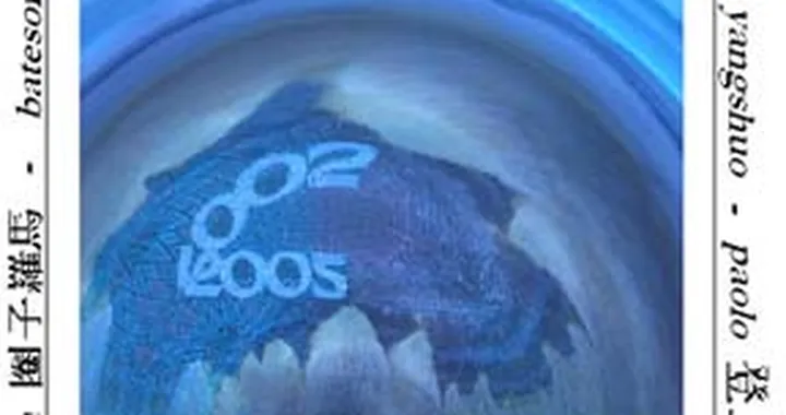 Marco Polo Motoraid – Tazebau 2005