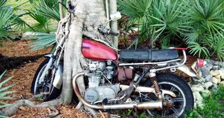 Foto del giorno: ecco una moto veramente ecologica!