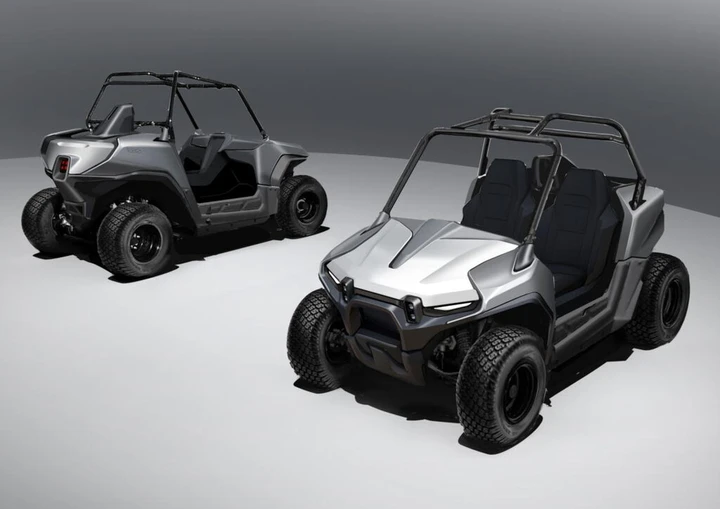 ingrandisci immagine