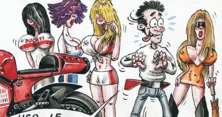 Alette anti-impennate