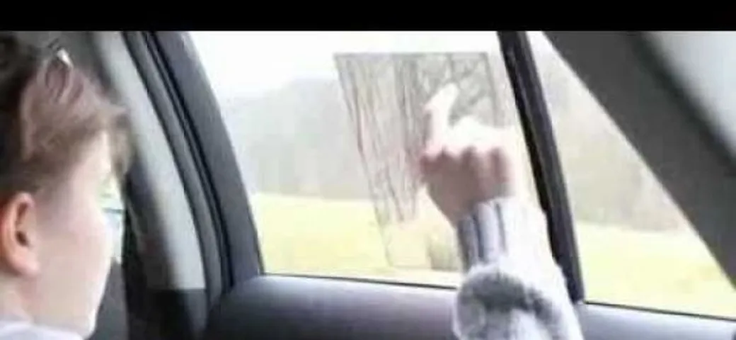 Toyota Window to the World