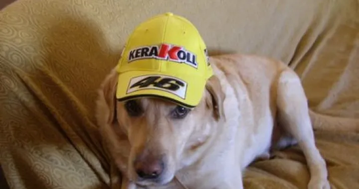 Foto del giorno: anche Shaggy tifa Valentino Rossi