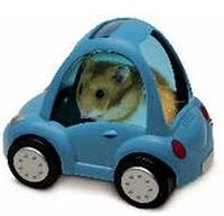 Auto per criceti