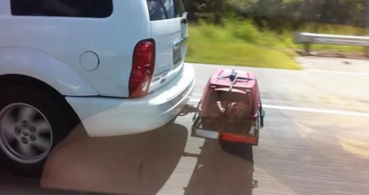 Usa: fermato in autostrada mentre trasporta un cane su un carrellino.