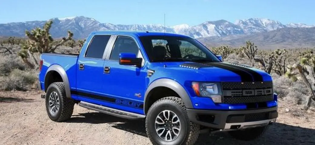 Shelby Raptor