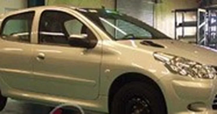 Dongfeng Citroen T21, mutazione genetica