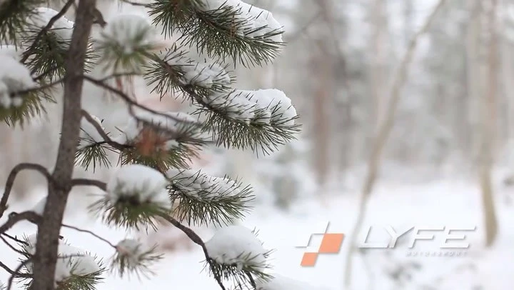 Audi R8: drift sulla neve con l'albero di Natale