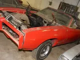 Da una fabbrica abbandonata emerge un tesoro: decine di sportive
