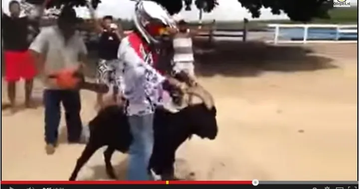 Video divertenti: dare gas in sella a una... capra!