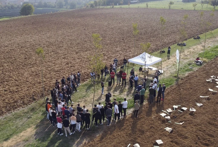 Nasce Bosco Ferrari: un'ampia forestazione in provincia di Modena