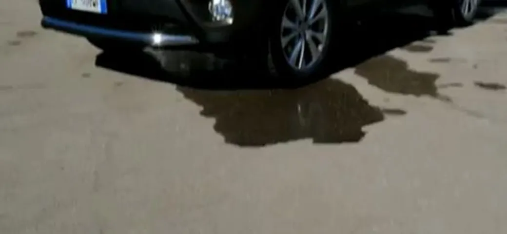 Toyota Rav4 allestimenti e prezzi: il meeting di Folgaria
