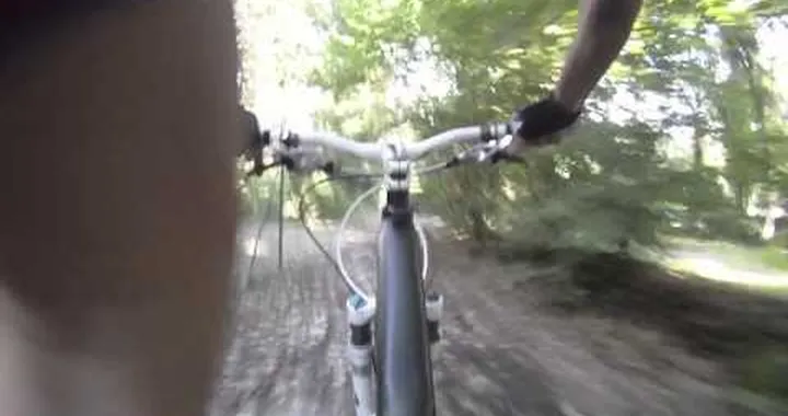 In Mountainbike nel parco del Ticino