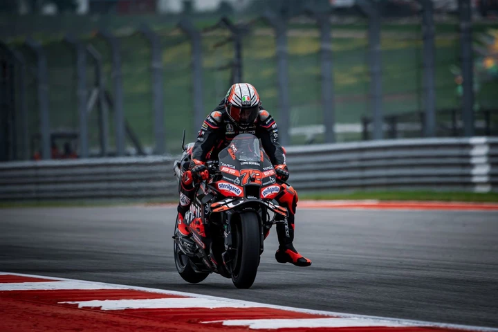 ingrandisci immagine