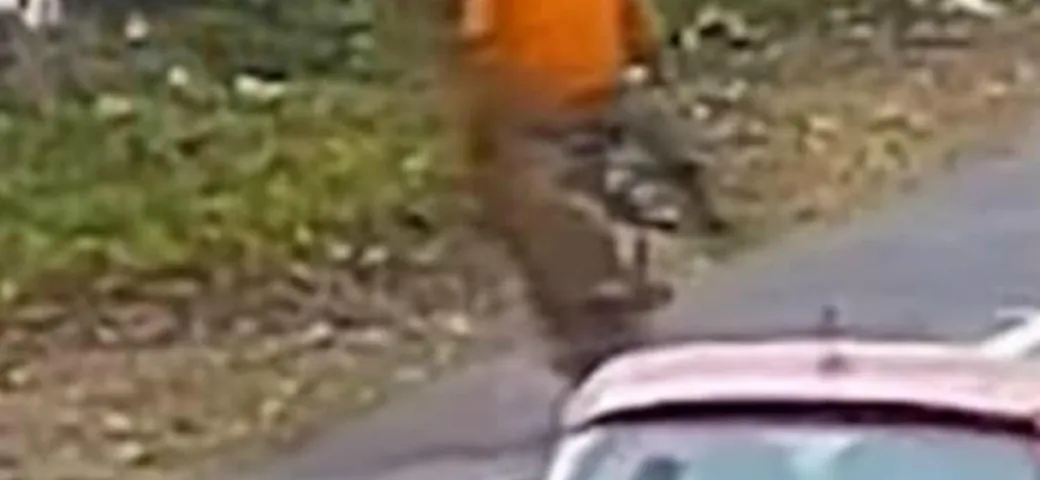 Ciclista aggredito da un leopardo sulla strada [Video]