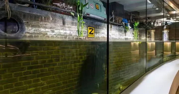 Fiat Topolino finisce in un acquario, la curiosa scelta che conquista Amsterdam