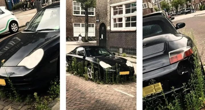 La natura si prende gioco di una Porsche: scempio in un parcheggio
