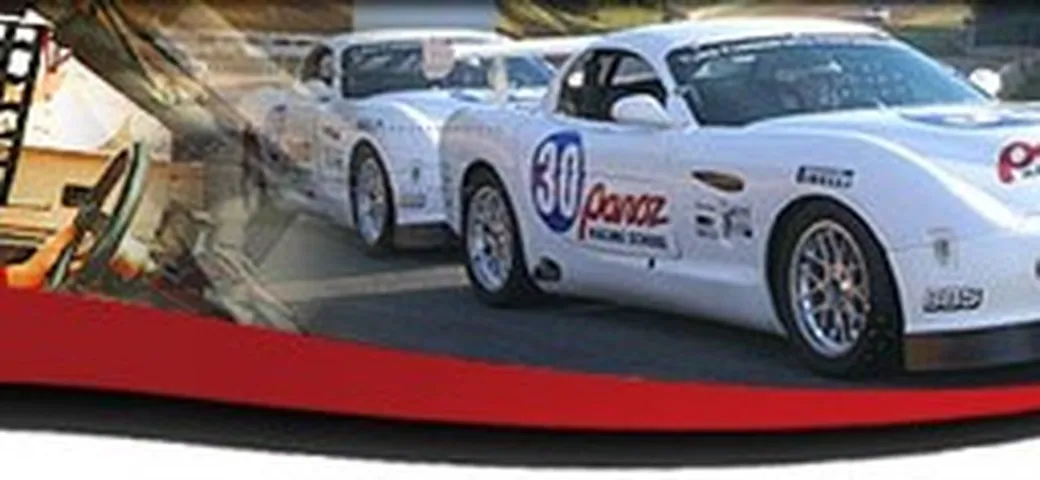 Panoz: auto + scuola