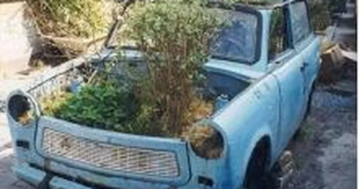 Le auto più ecologiche