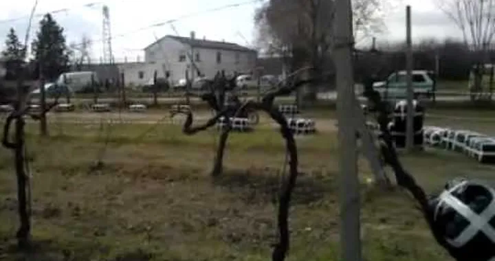 Gran Premio della Vigna presso il Museo del motociclo a Rimini