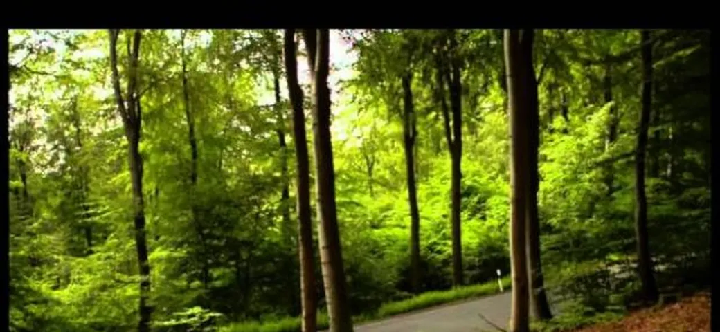Audi A6 Avant: nuovi video
