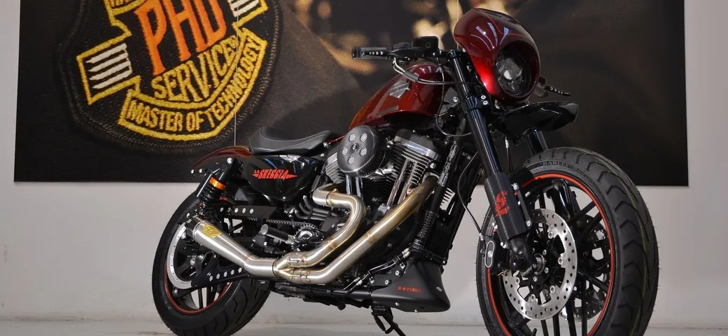 Harley-Davidson Sportster Roadster “Skeggia” H-D Parma