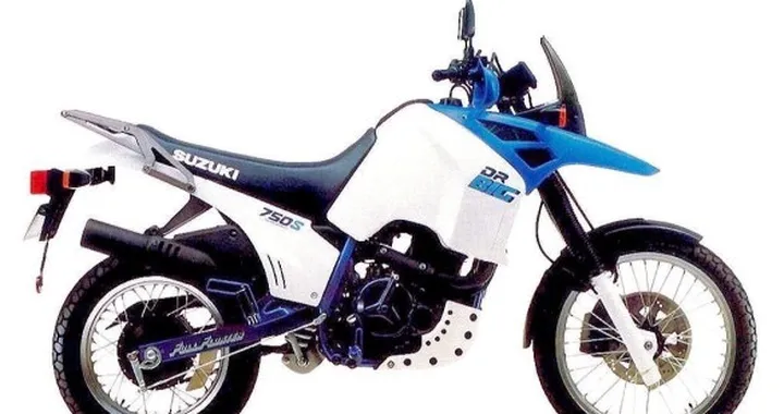 Amarcord: Suzuki DR750S e 800S Big